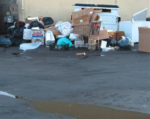 As part of its storm water pollution prevention outreach, the city visits trash areas at food establishments to illustrate how seepage (foreground) from food waste in trash could be contained by joining the source separation program.