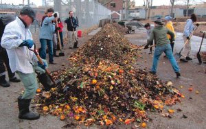 Many of the community composting sites, such as Added Value’s Red Hook Community Farm, organize “windrow building” volunteer days around the Greenmarket food scraps drops.