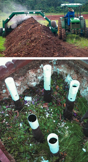Animal manure, wood chips, shredded paper and food waste are composted in windrows at the University of Guam (top). Mohammed Golabi, who implemented the composting program, advises students on compost research (bottom).