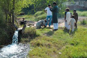 Biogas-generated electricity from a dairy manure digester in Punjab (Pakistan) is being used for water pumping at a dairy farm.