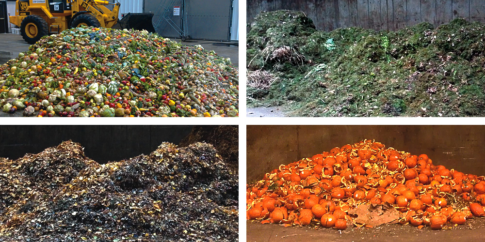 May food waste (top, left) May yard trimmings (top, right) October yard trimmings (bottom, left) November food waste (bottom, right)