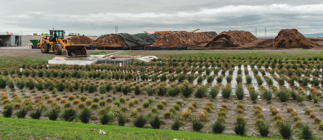 Material from the in-vessel composters is moved to an outdoor curing pad. All water draining from the site flows to a biotreatment containment area (foreground).