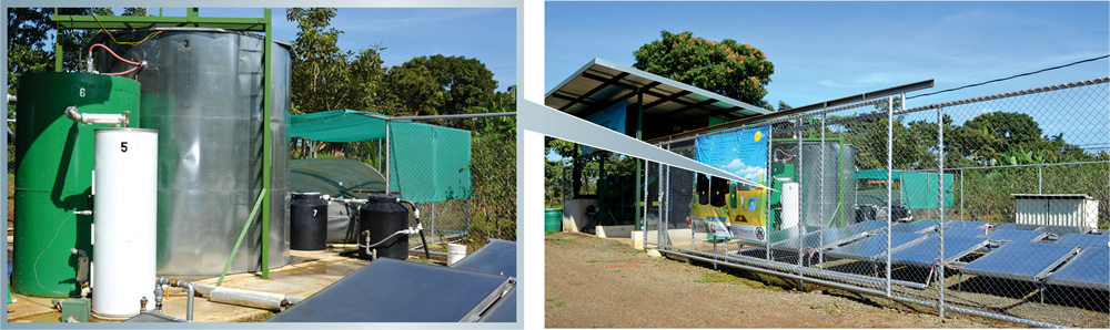 The solar-biopower unit includes a 32 m2 solar thermal panel, a 20 m3 digester and a 50 m3 biogas storage bag (close up of digester and storage bag on left). One metric ton/day of poultry and cattle manure and food waste is processed.