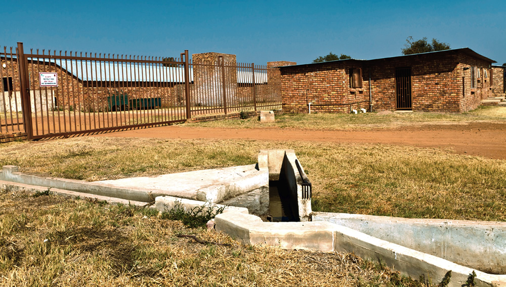 South Africa piggery powered by biogas from anaerobic digestion