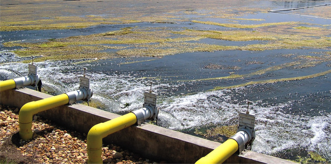 An Algae Turf Scrubber (ATS) system cleans polluted water from the Lateral D Canal by pumping it over a sloping surface. Algae in the water attach to the ATS surface and grow, removing nutrients and other pollutants.