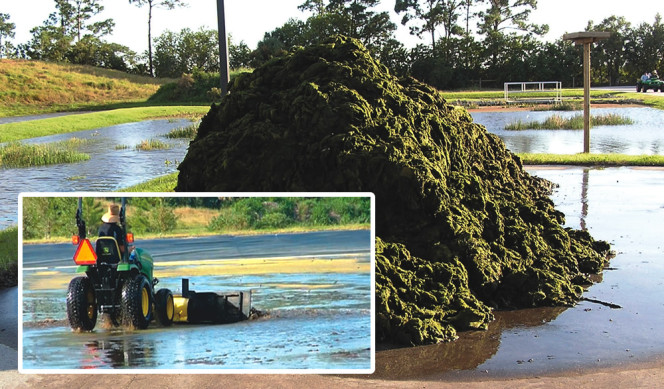 A tractor outfitted with a custom-made blade design harvests the algae (inset), which is then removed with a harvest rake and put on an asphalt pad.