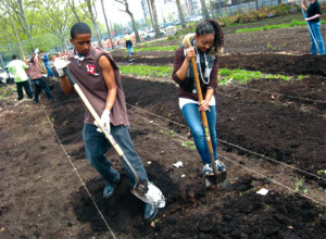 Community farms and composting sites can house job training programs, such as this one at Red Hook Community Farm in Brooklyn, New York.