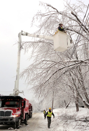 After storms, Savage Forest Enterprise helps reopen tree-blocked roads and remove limbs that might impair utility lines.