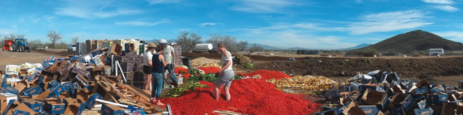 San Xavier Co-op Farm