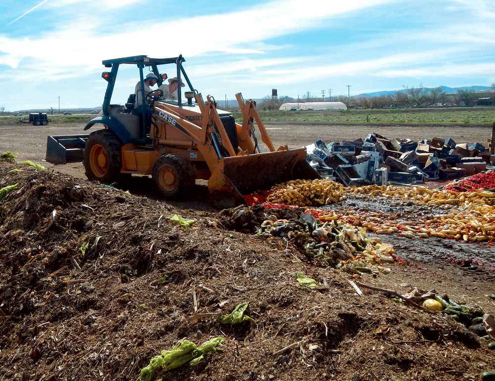 Green waste, food scraps and manure are delivered six days a week and piled into a windrow using a front-end loader.