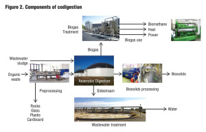 Figure 2. Components of codigestion