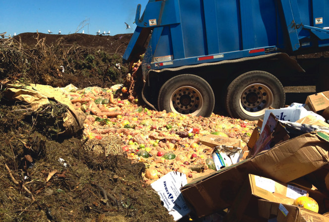 Food scraps unloaded at Land and Lakes’ source separated organics composting facility in Chicago.