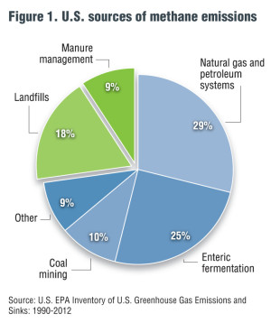 Figure 1. U.S. sources of methane emissions