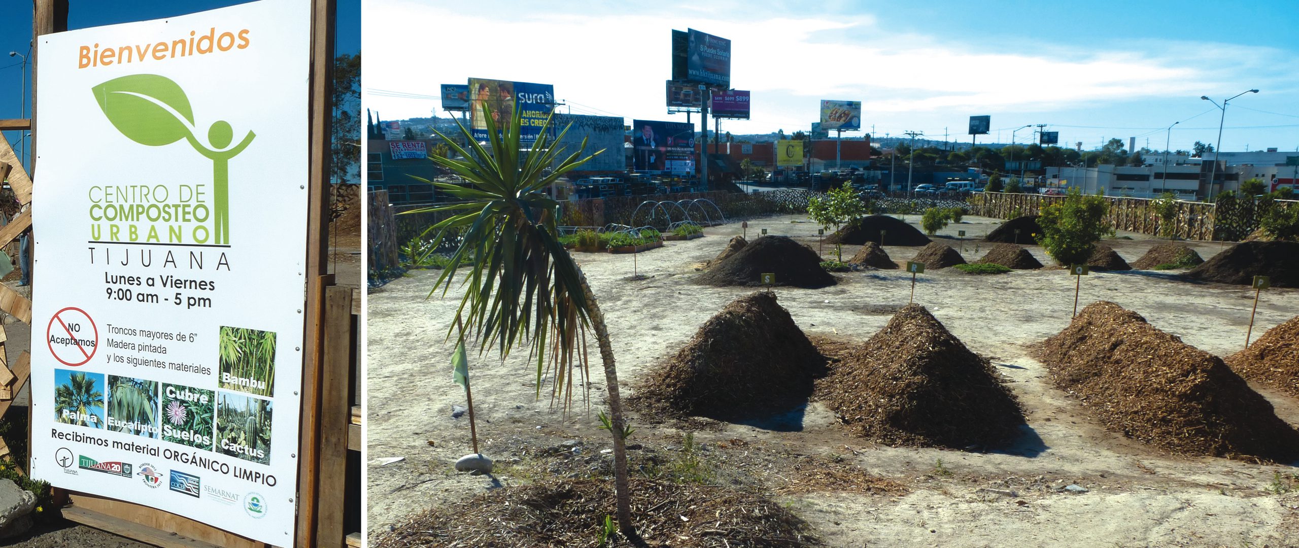 Municipal yard trimmings were chipped in a hand-fed chipper/shredder and windrows were turned by hand during the pilot-scale composting project at the Tijuana Urban Compost Center.