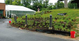 Montgomery County, Maryland’s RainScapes program offers technical assistance and financial incentives to install projects such as rain gardens and conservation landscaping (example above) to reduce storm water runoff volume and improve water quality. 