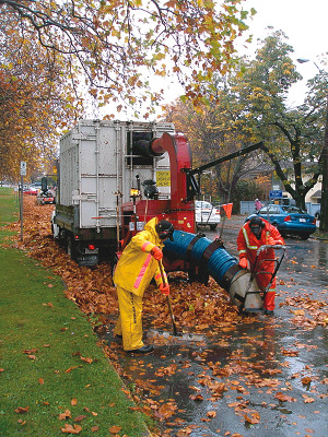 The Residential Leaf Pick-Up Program takes place over four months, starting in October when trees first drop their leaves.