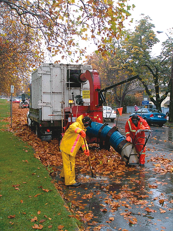 Managing Fall Leaves In Victoria, British Columbia