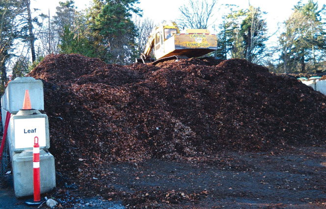 The Recycling Compound processes all collected leaves — close to 10,000 cubic yards/year — along with wood chips and green waste.