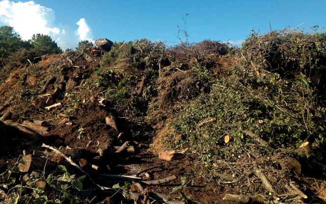 The Ground Up processes about 200,000 cubic yards/year of leaves, grass cuttings and tree debris from area landscapers. 