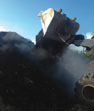 Materials are composted in windrows that are roughly 150 feet long, 25 feet high and 60 feet wide and are turned about every four months with a loader (right). 