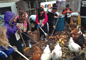 The Compost Learning Center is home to chickens and goats, which not only feed on food scraps but help attract visitors to Governors Island into the Center to learn about composting. Visitors include school groups. 