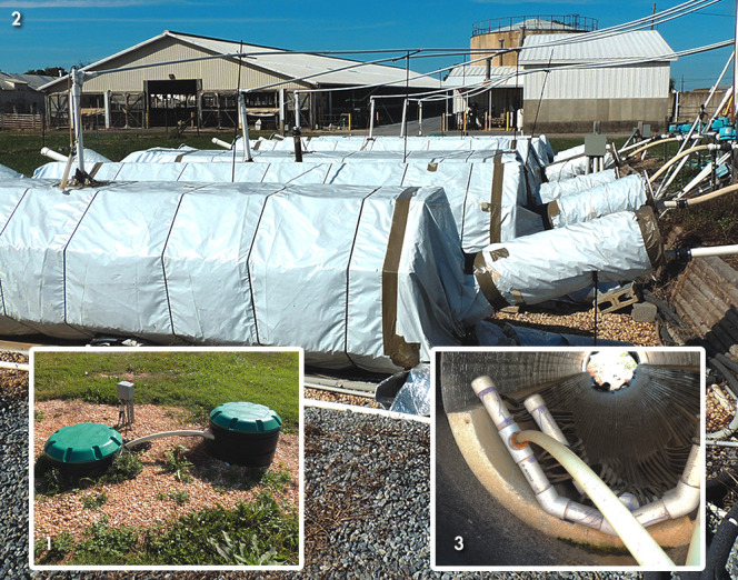 For the field trials, liquid manure is diverted from the main manure management system (1), heated, and then flows into one of 6 insulated field-scale (FS) digesters (2). A close-up of the inside of the structure holding the digester bags shows insulation and pipe that feeds manure into the bag (3).