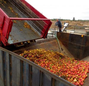Food waste is unloaded into a hopper with an auger that moves the feedstock to a mixer.