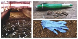 Compostable cutlery dispersed in bay; overs (with pen for scale); unders (with glove for scale)