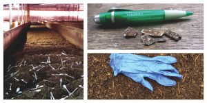 Compostable cutlery dispersed in bay; overs (with pen for scale); unders (with glove for scale)