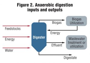 Figure 2. Anaerobic digestion inputs and outputs