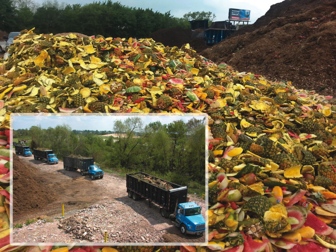 Feedstocks at Living Earth’s composting and mulch facilities include yard trimmings (inset) and preconsumer vegetative produce trimmings.