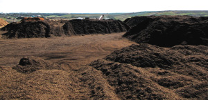 Materials are composted in static piles for about 4 months. Finished compost is certified through the US Composting Council’s STA program.