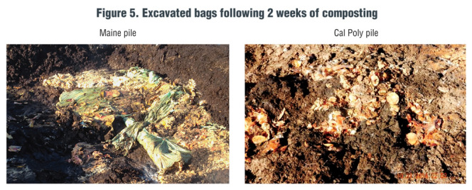Figure 5. Excavated bags following 2 weeks of composting