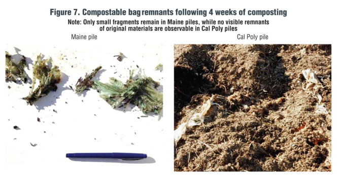 Figure 7. Compostable bag remnants following 4 weeks of composting