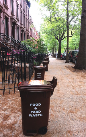 Residents in the pilot program receive brown 13-gallon bins with a latching lid and wheels to collect organics (food waste and yard trimmings). Bins are placed on the curb to be serviced by the New York City Department of Sanitation (DSNY). 