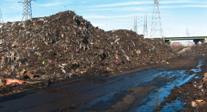 Material delivered to the Wilmington Organics Recycling Center in Delaware, which closed in October 2014, was too often contaminated, as seen in this photo of a windrow at the facility.