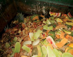 San Diego’s commercial organics program accepts all food scraps, coffee grounds and coffee filters, parchment paper, and paper towels and napkins from the kitchen.