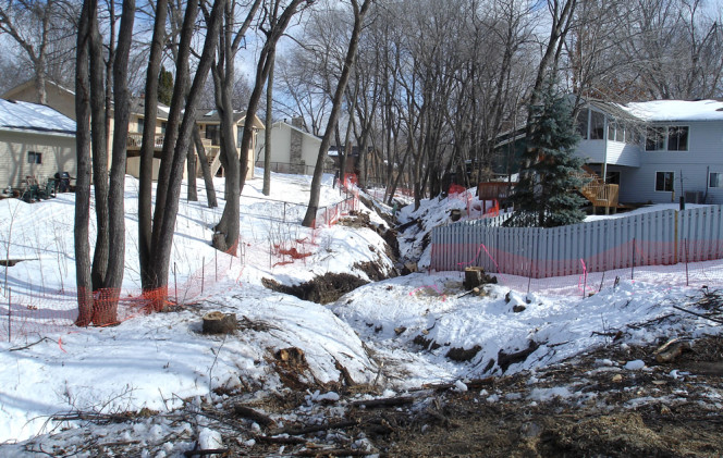 Erosion on the upper portion of Wood Creek after tree removal in February 2008.