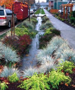Green storm water management tools, such as bioswales that use compost in the engineered soil mix, are poised to make a major contribution to sustainable water infrastructure over the next 15 years.