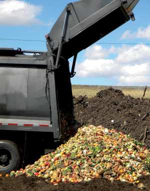 Several composting facilities in Illinois have expanded to accept food scraps, such as St. Louis Composting’s operation in Belleville, Illinois.