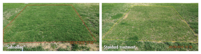 compost-treated plot vs. standard treatment