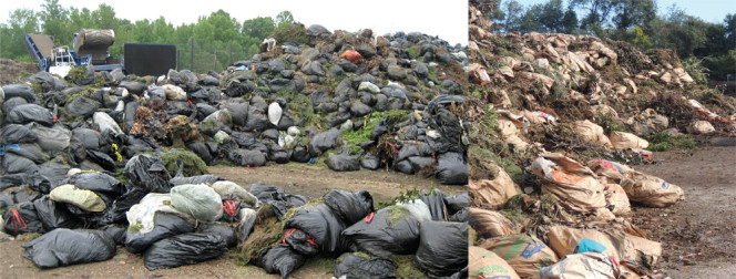 Prince George’s County Council adopted a plastic bag ban for yard trimmings collection in November 2012, which became effective on January 1, 2014. It applies to the residential and commercial sectors. Yard trimmings in paper bags or loose in containers are allowed. Images illustrate sharp contrast pre- and post-ban.