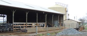 Oregon Dairy