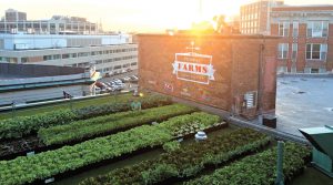 Fenway Park, home of the Boston Red Sox, installed a 5,000 sq. ft. rooftop farm in Spring 2015. Produce is used in restaurants at the ballpark.