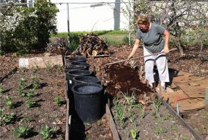 Adding compost to the gardens helps with water infiltration and moisture retention. “When it rains, you want to soak up every drop that does fall, and compost does that,” says Scott Thompson.