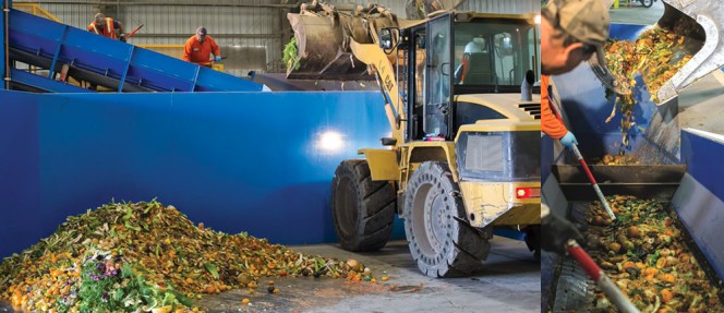 Central Marin Sanitation Agency (CMSA) in San Rafael, California joined forces with Marin Sanitary Service (MSS) to launch the Commercial Food-2-Energy Initiative (F2E). Food scraps collected by MSS are loaded (above) onto a sorting line supplied by West Salem Machinery, where contaminants are removed (right). After grinding, the food scraps are taken by MSS to CMSA for codigestion.