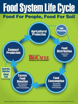 Food System Life Cycle