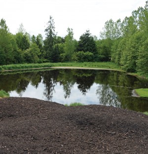 The operation has a series of about 10 strategically placed containment ponds. A side benefit of the ponds is a thriving bird habitat.