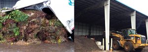 About 3,290 tons/year of yard trimmings, some from curbside collection programs (left), are composted (right) with about 1,720 tons/year of biosolids, mixed in a 3:1 ratio.