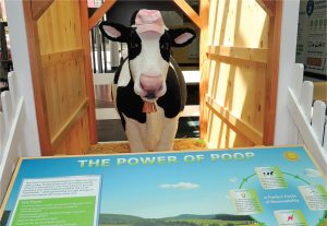 The GMP Energy Innovation Center in downtown Rutland, Vermont serves as a visitors and education center. Displays showcase energy efficiency and renewable energy technologies, including Electra and Cow Power.